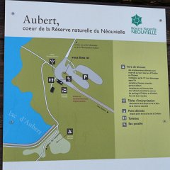 P1030249 (Copier)